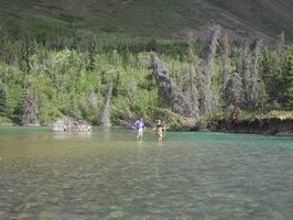 Kathleen Lake - muskareni na pritoku