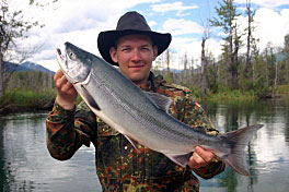 losos nerka - sockeye, cervenec losos nerka - sockeye, cervenec