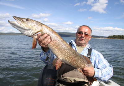 stika 108 cm, cerven stika 108 cm, cerven