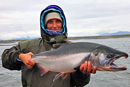 zari - losos kisuc, coho zari - losos kisuc, coho