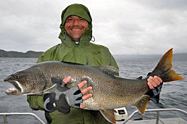 siven namaycush 109 cm, cerven v Dalton Trail Lodge siven namaycush 109 cm, cerven v Dalton Trail Lodge