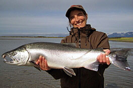 losos kisuc - coho - silver salmon losos kisuc - coho - silver salmon