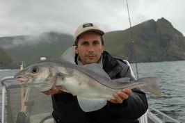 Treska jednoskvrnna, 3 kg, Radek Divis, cervenec 2005 Treska jednoskvrnna, 3 kg, Radek Divis, cervenec 2005