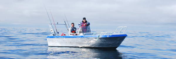 Kverno 19 stop, 50 HP Kverno 19 stop, 50 HP