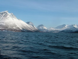 Aldersund - unor Aldersund - unor