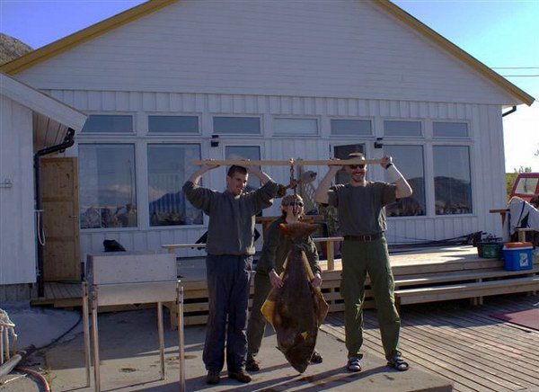 uloveny halibut pred domkem Fagervika uloveny halibut pred domkem Fagervika