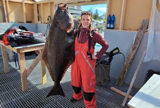 Blomsoy - halibut 135 cm (22 kg) Blomsoy - halibut 135 cm (22 kg)
