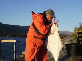 halibut - radost z ulovku halibut - radost z ulovku