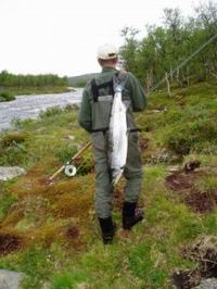 losos - Steigen losos - Steigen