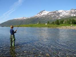 lov pstruhu morskych - Steigen lov pstruhu morskych - Steigen
