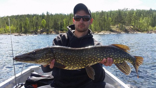 stika 85 cm z jezera Drogsjon stika 85 cm z jezera Drogsjon