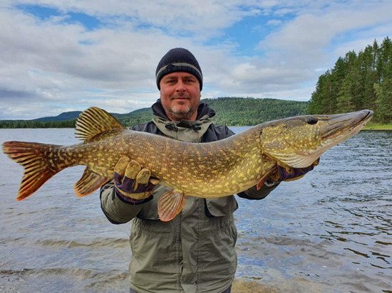 Štika 95 cm z předposledního dne Štika 95 cm z předposledního dne