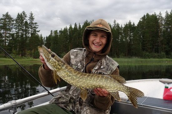 Štika cca 70 cm z Giman Štika cca 70 cm z Giman