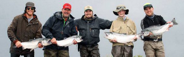 lososi kisuc - coho, srpen lososi kisuc - coho, srpen