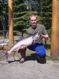 Losos nerka - sockeye Losos nerka - sockeye