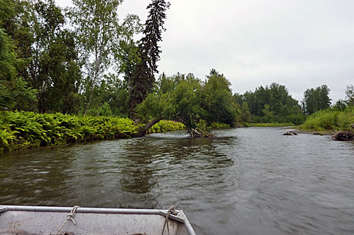 Cottonwood Lodge - lodí po Lake Creek