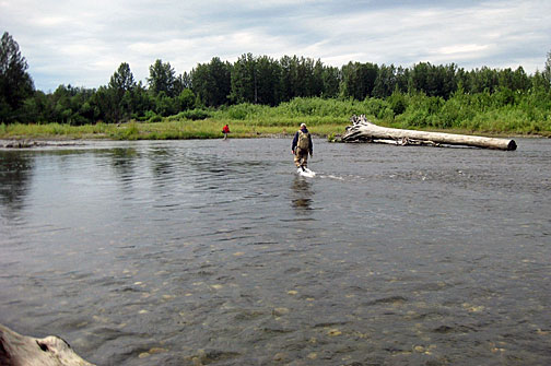 Cottonwood Lodge - reka Lake Creek