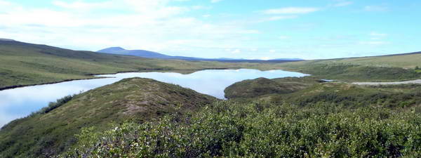 krajina s jezery u Denali Highway