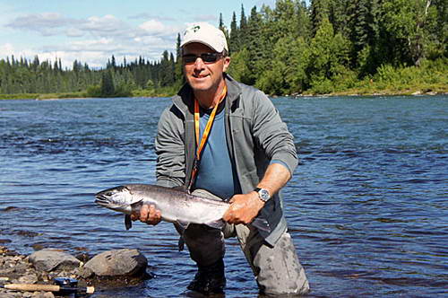 Lake Creek - losos kisuc (coho) z letniho tahu Lake Creek - losos kisuc (coho) z letniho tahu