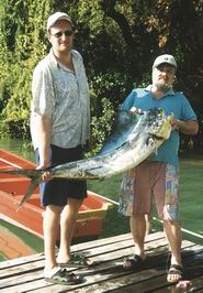 Dorado - zlak nachovy - velky mlicnak Dorado - zlak nachovy - velky mlicnak