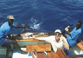 Mecoun pruhovany - stripped marlin Mecoun pruhovany - stripped marlin