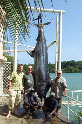 mecoun modry, 311 kg, unor 2008