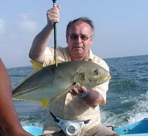 kranas - Caranx kranas - Caranx