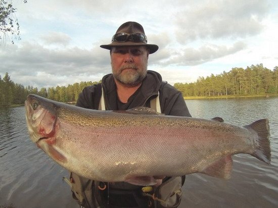 Duhák 61 cm (3,3 kg) Duhák 61 cm (3,3 kg)