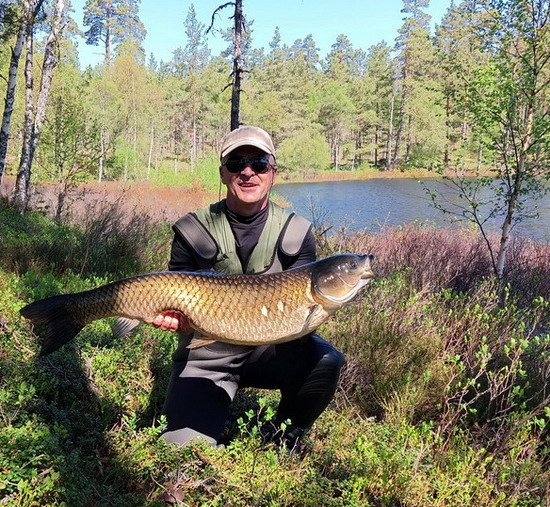 amur 95 cm uloveny v kvetnu na umelou musku v Hokensas amur 95 cm uloveny v kvetnu na umelou musku v Hokensas