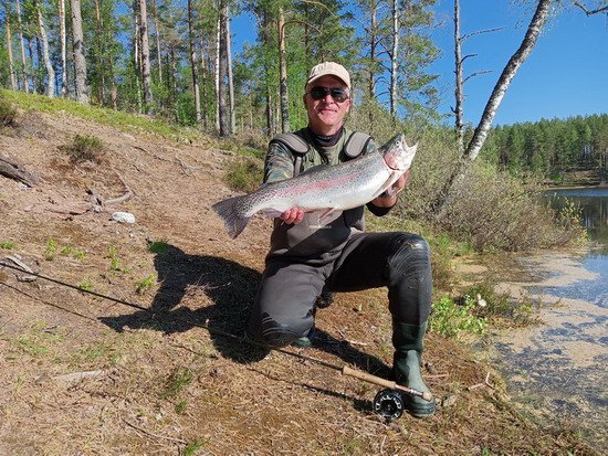 pstruh duhovy, kveten v Hokensas pstruh duhovy, kveten v Hokensas