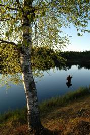 odpoledni muskareni, foto Henrik Larsson