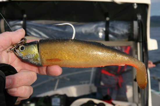 Savage cutbait - nastraha na tresky i halibuty Savage cutbait - nastraha na tresky i halibuty