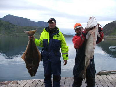 halibut a treska, Honseby, srpen 2009