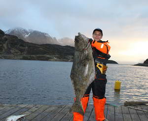 Halibut 28 kg, uloven 8.6.