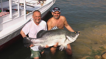 Nilsky okoun 51,4 kg, 140 cm Nilsky okoun 51,4 kg, 140 cm