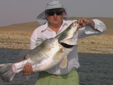 Nilsky okoun Nilsky okoun
