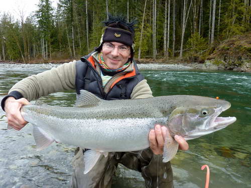 tazna forma pstruha duhoveho - steelhead, breznovy ulovek tazna forma pstruha duhoveho - steelhead, breznovy ulovek