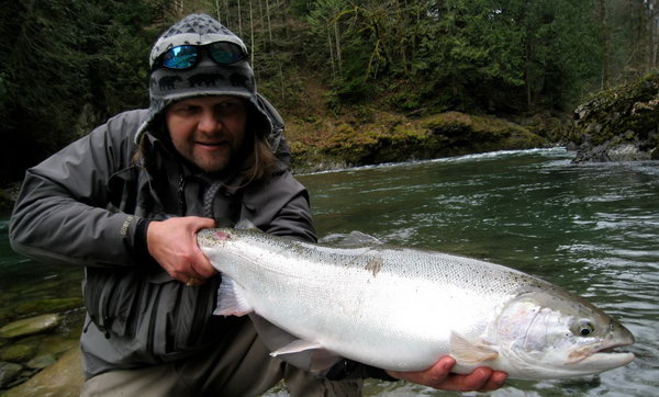 steelhead - tahnouci forma pstruha duhoveho, brezen steelhead - tahnouci forma pstruha duhoveho, brezen