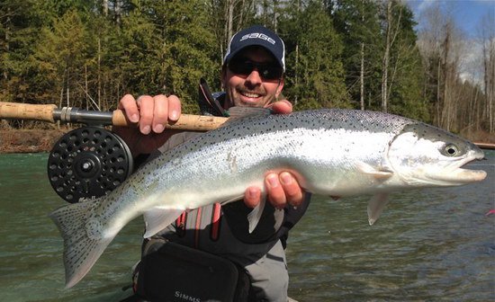 breznovy steelhead uloveny 30.3. breznovy steelhead uloveny 30.3.