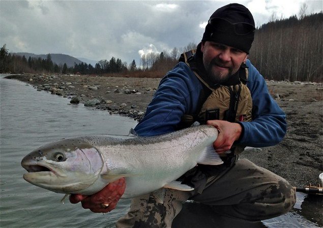 breznovy steelhead breznovy steelhead