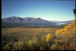 Yukon - podzimni krajina