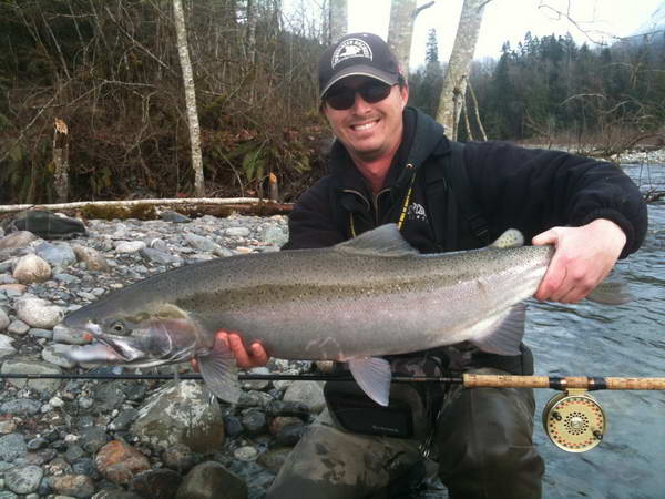 steelhead uloveny v unoru na musku steelhead uloveny v unoru na musku