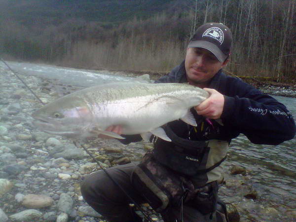 steelhead uloveny v unoru na privlac steelhead uloveny v unoru na privlac