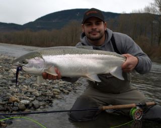 steelhead uloveny na musku 28. unora steelhead uloveny na musku 28. unora