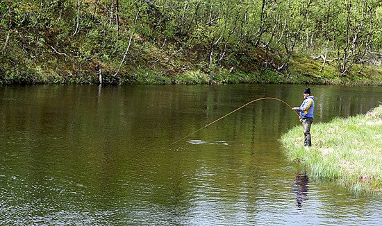 zdolavani pstruha na ricce Laiva zdolavani pstruha na ricce Laiva