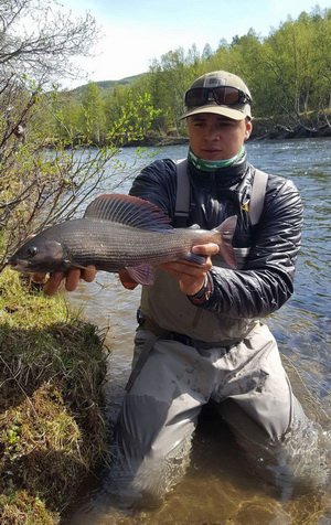 lipan z reviru Ammarnas lipan z reviru Ammarnas