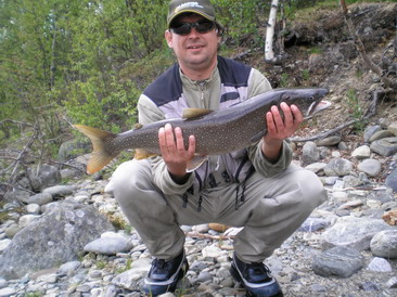 siven namaycush, 86 cm siven namaycush, 86 cm