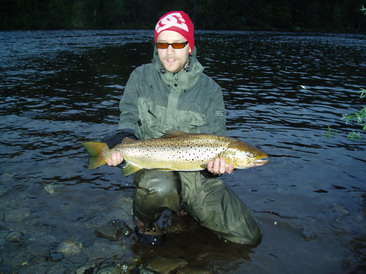 pstruh obecny 4,5 kg, perej Sjoforsen