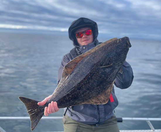 Halibut, o to tu jde... Halibut, o to tu jde...