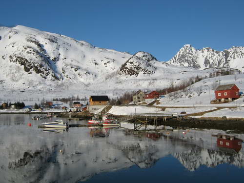 kveten v Sor-Tverrfjord